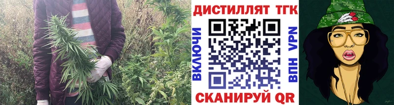 ТГК концентрат  Белореченск 