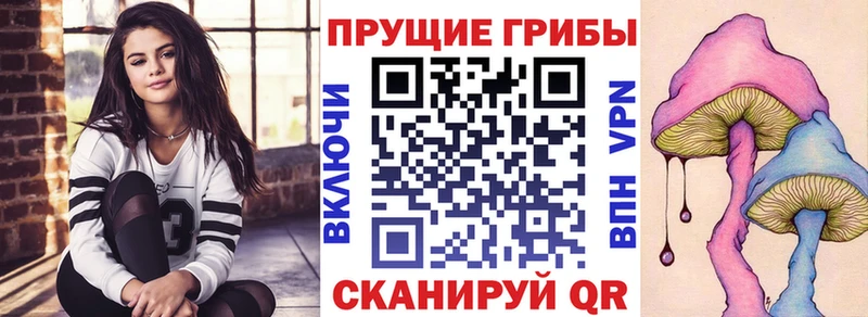 shop формула  Белореченск  Галлюциногенные грибы GOLDEN TEACHER  купить наркотик 